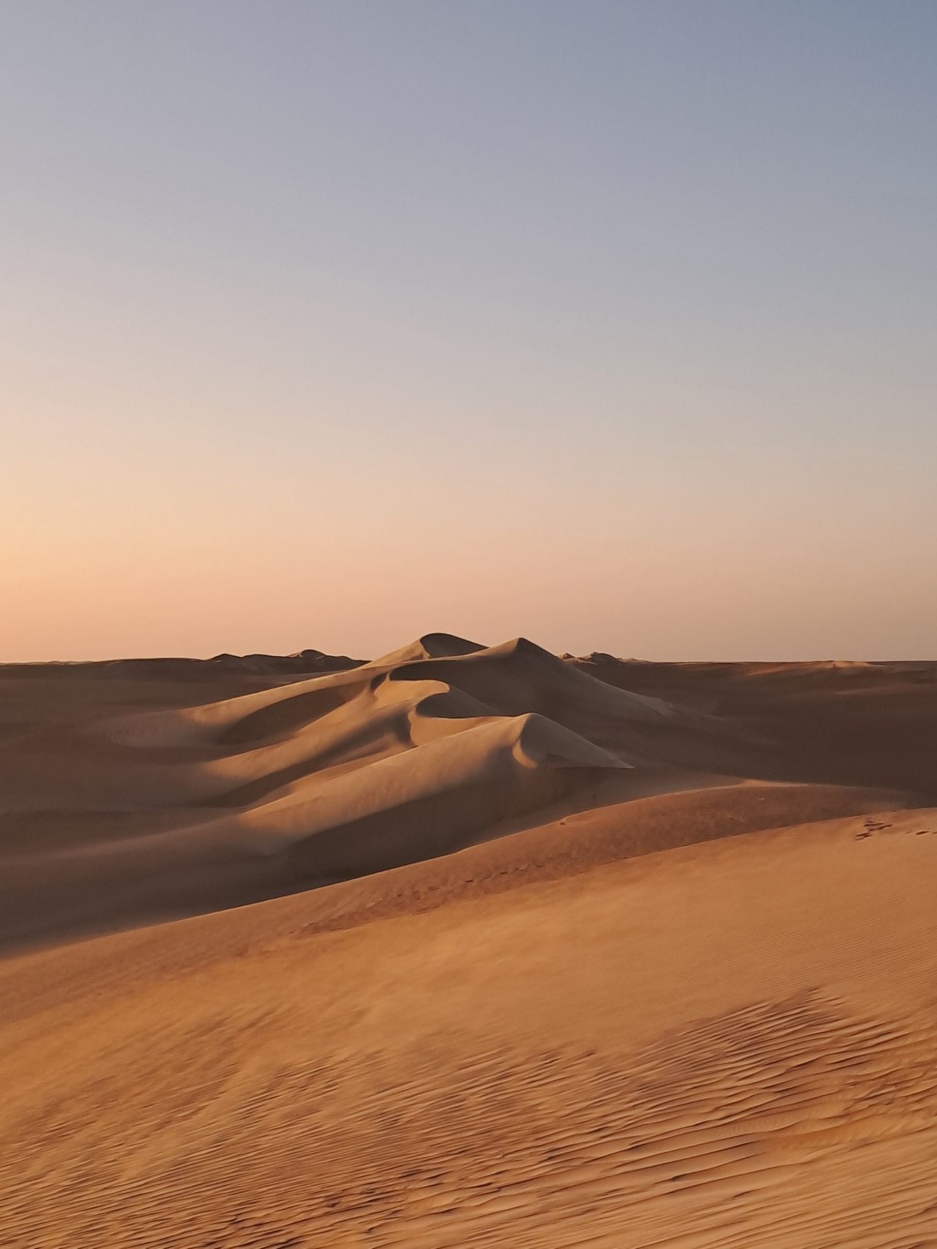 fille du désert - dunes de sable abou muharraq
